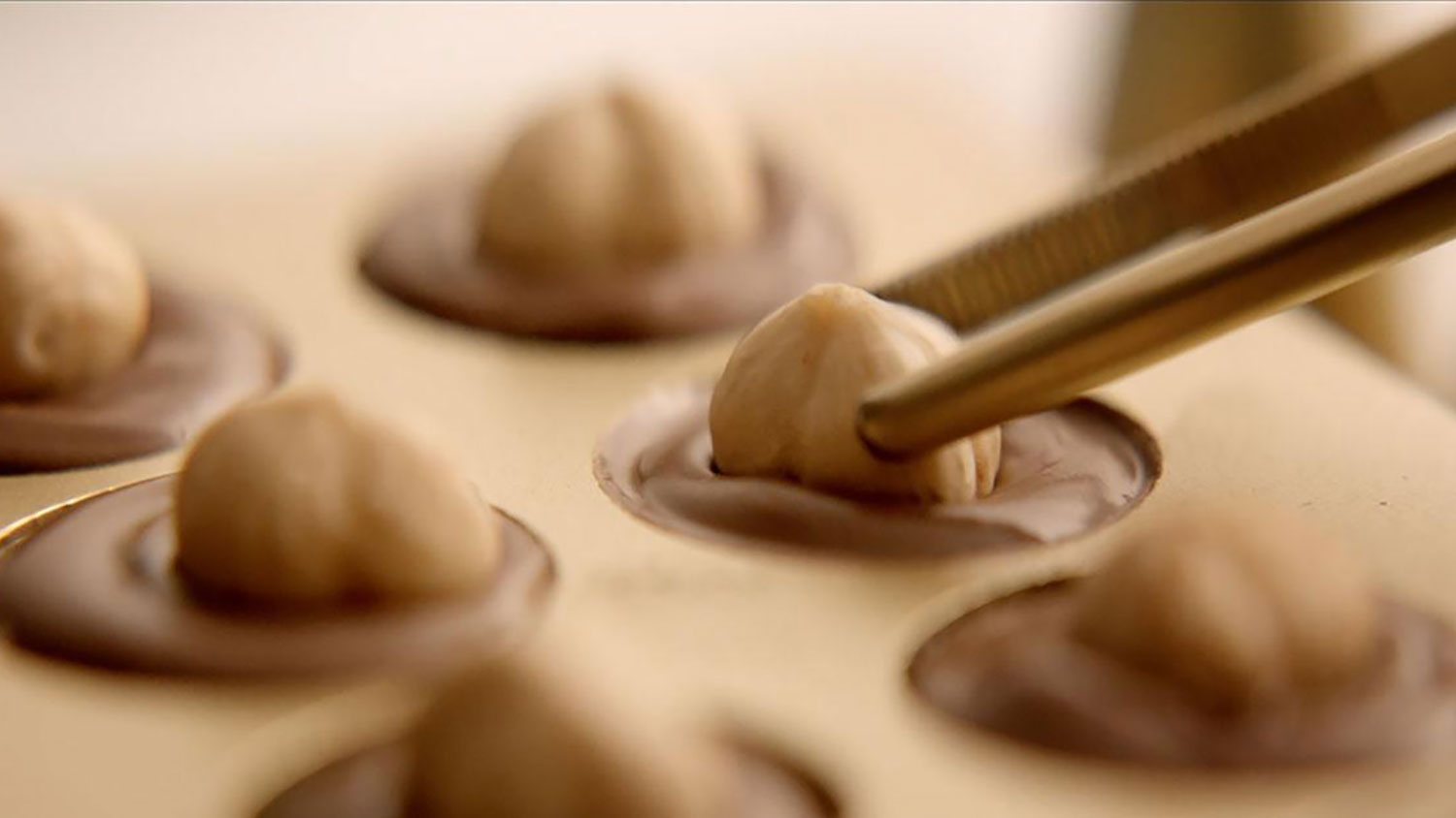  Our commitment to sourcing high quality hazelnuts